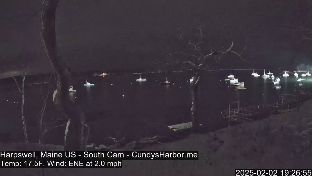 Many boats are moored in a dark, calm harbor at night under a clear sky.