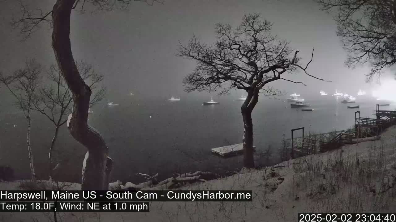 A snow-covered shoreline with bare trees overlooks a calm body of water containing several boats under a dark, snowy sky.