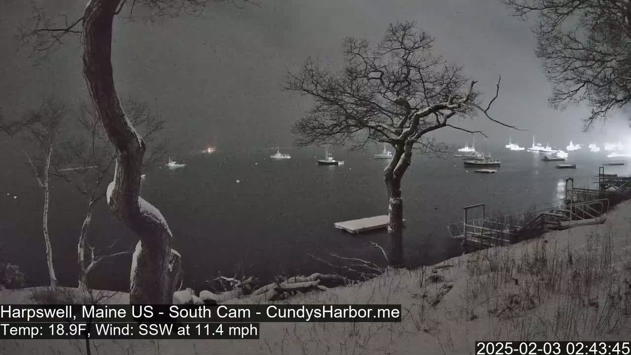 A snow-covered shoreline with several boats in a dark, calm harbor under a nighttime snowfall.