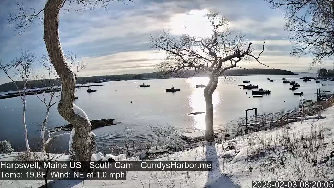 A snow-covered shoreline with several boats in a calm bay under a partly sunny sky.