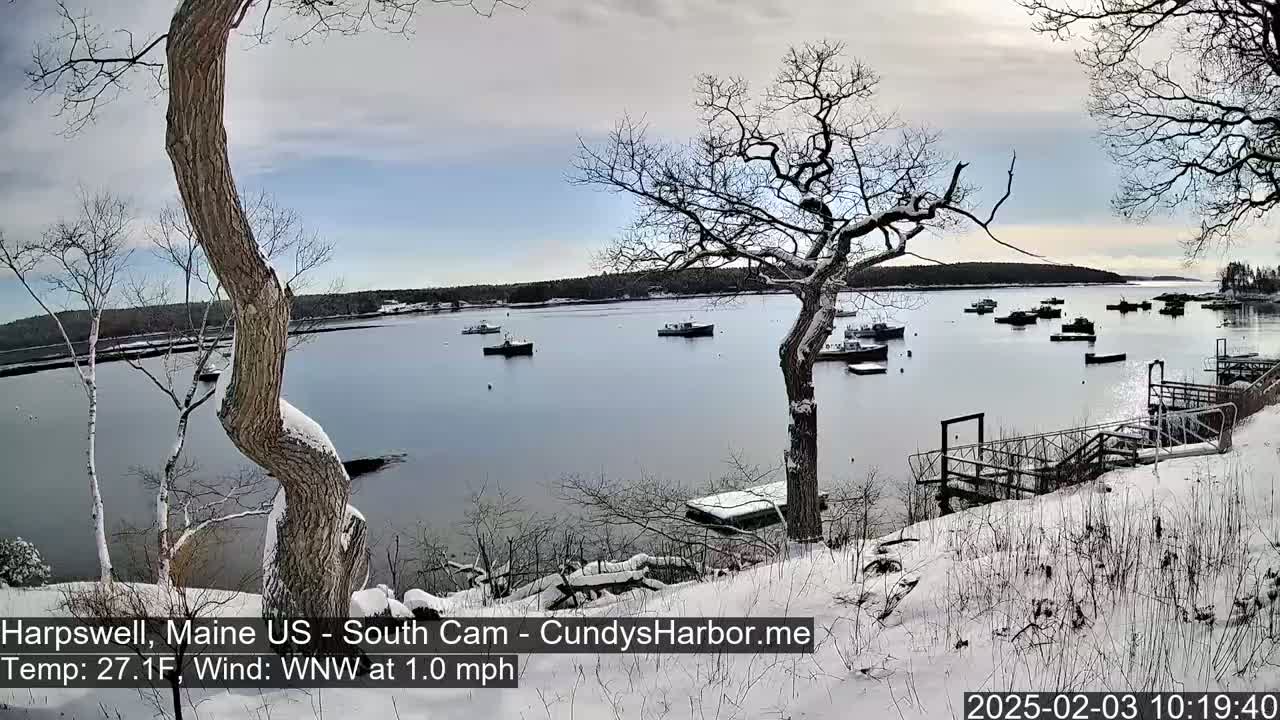 A snow-covered shoreline overlooks a calm bay with several boats, under a mostly cloudy sky.