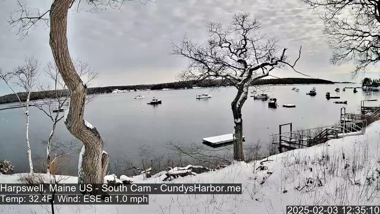 A snow-covered shoreline with several boats in a calm bay, viewed from a snow-covered hill under a cloudy sky.