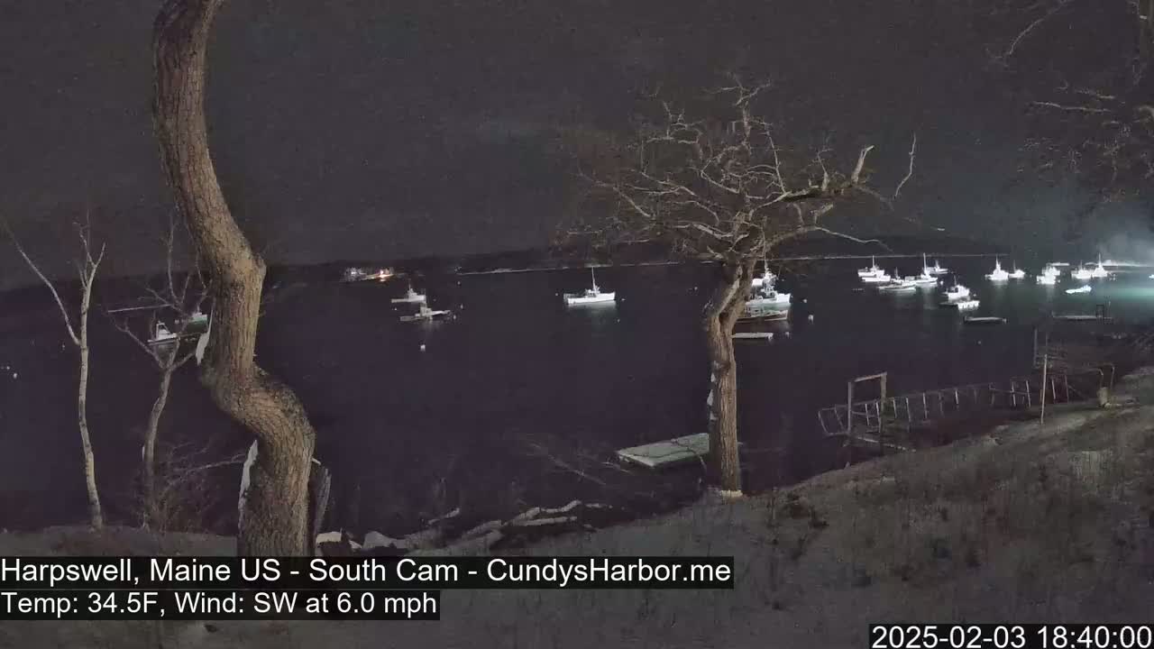 A nighttime view of numerous boats moored in a calm harbor, observed from a snow-dusted shoreline under a dark sky.