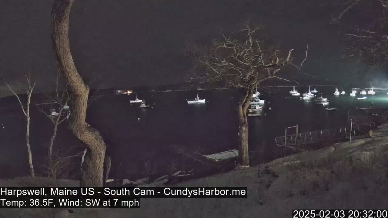 A nighttime view of a harbor filled with numerous boats under a dark sky, with a southwest wind blowing at 7 mph and a temperature of 36.5°F.