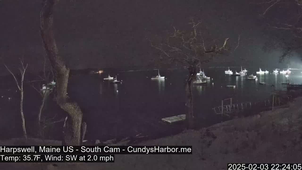 Numerous boats are moored in a dark, calm body of water at night under a clear sky.