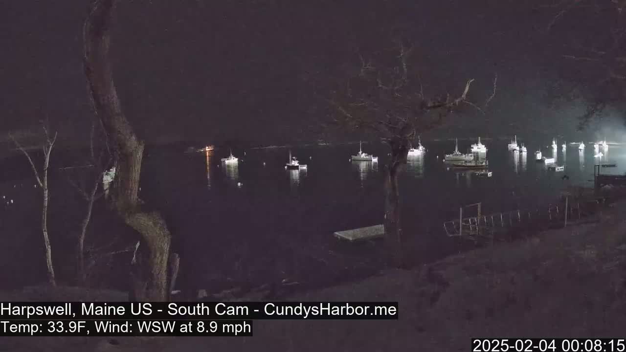 Several boats are moored in a dark harbor at night under a clear sky, with a slight wind.