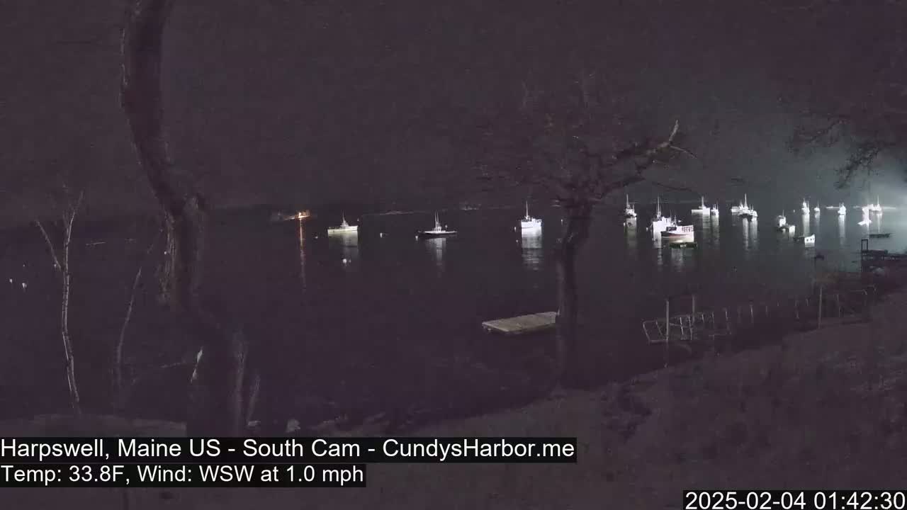 Several boats are moored in a dark, calm harbor at night under a lightly overcast sky.