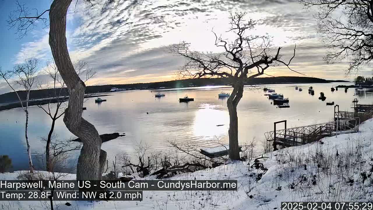 A snow-covered shoreline with bare trees overlooks a calm bay containing several small boats under a partly cloudy sky.