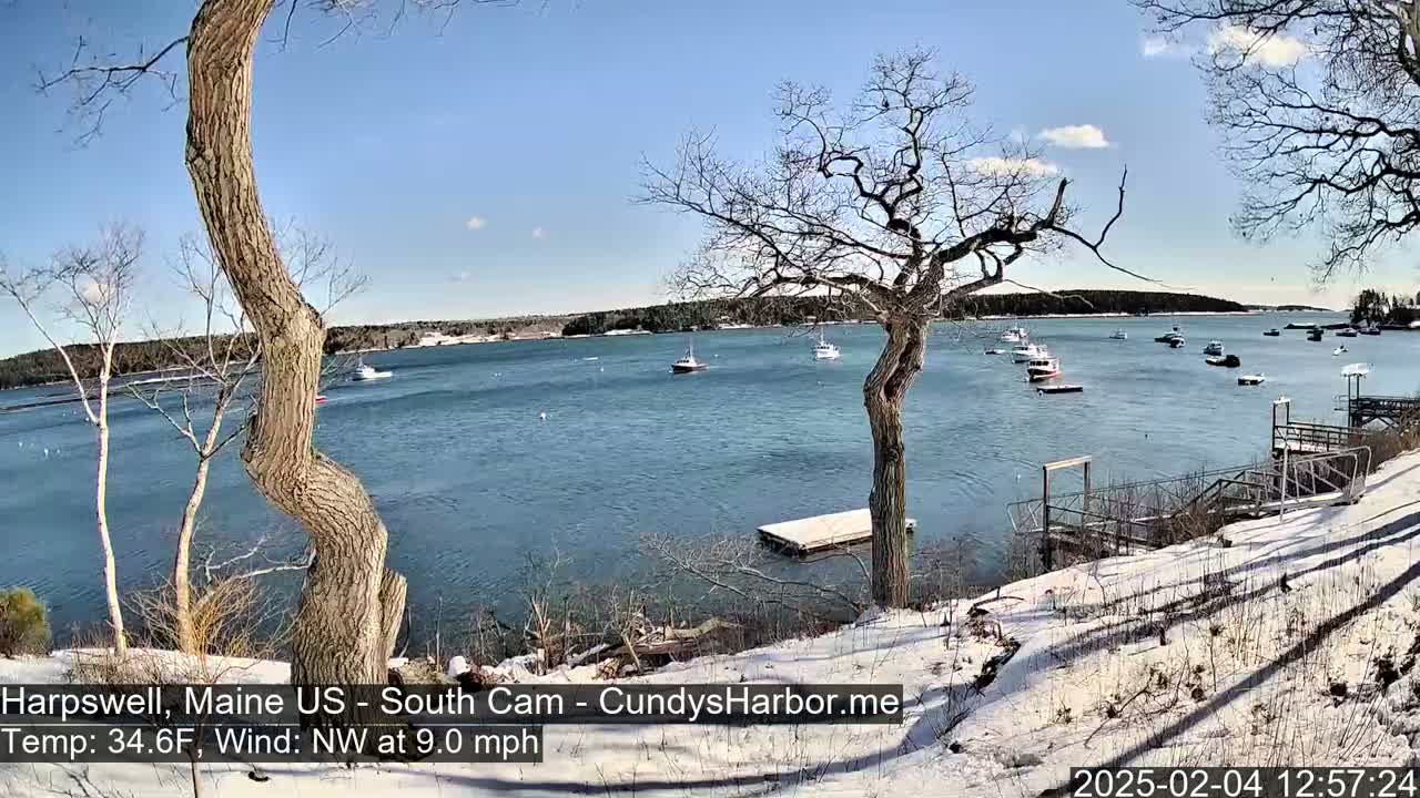 A snow-dusted shoreline with several boats in a calm bay under a sunny sky, with bare trees and a wooden dock visible in the foreground.