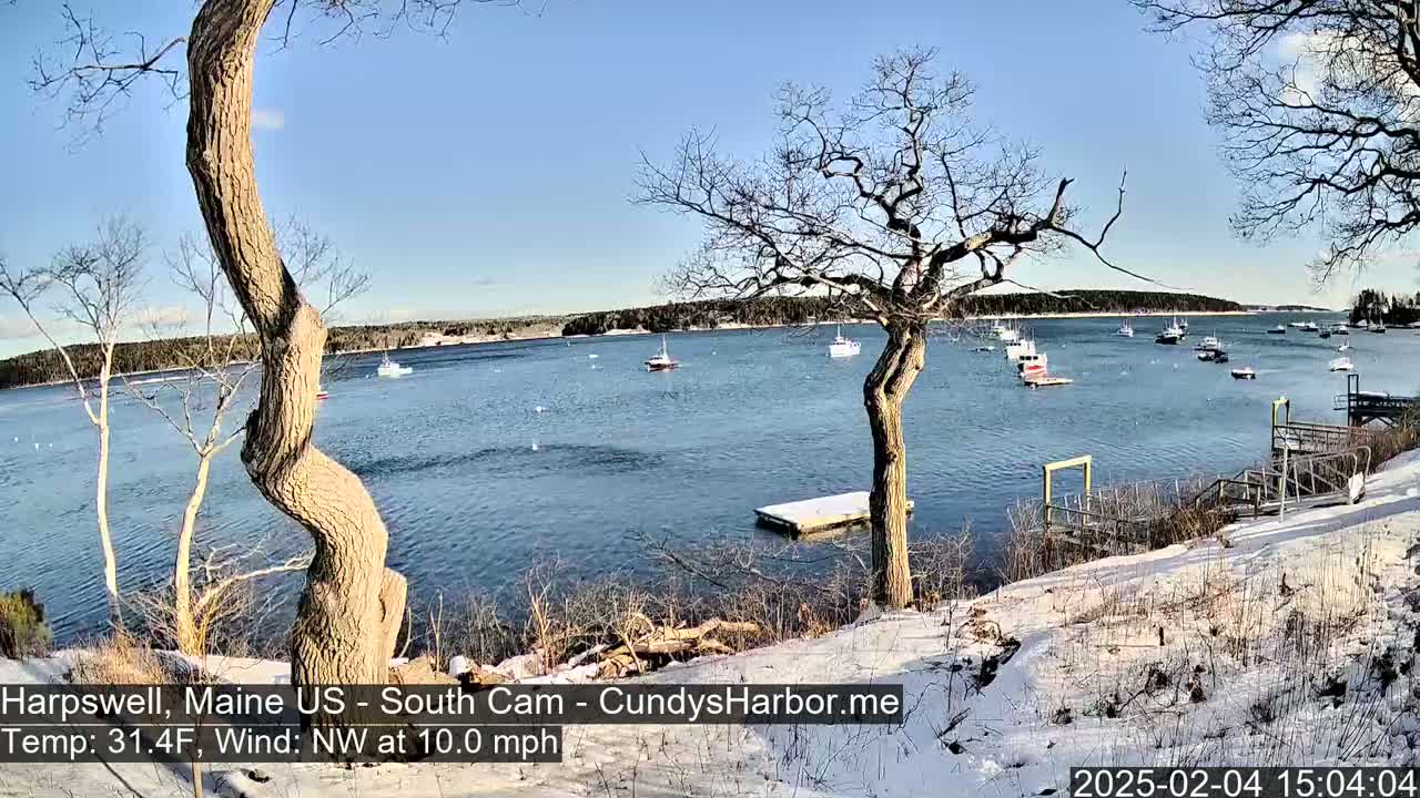 A snow-covered shoreline with leafless trees overlooks a calm bay with several boats under a clear blue sky.