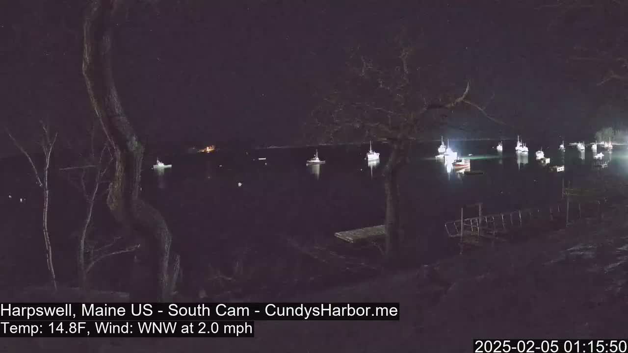Several boats are moored in a dark harbor at night under a clear, starry sky with a light wind.