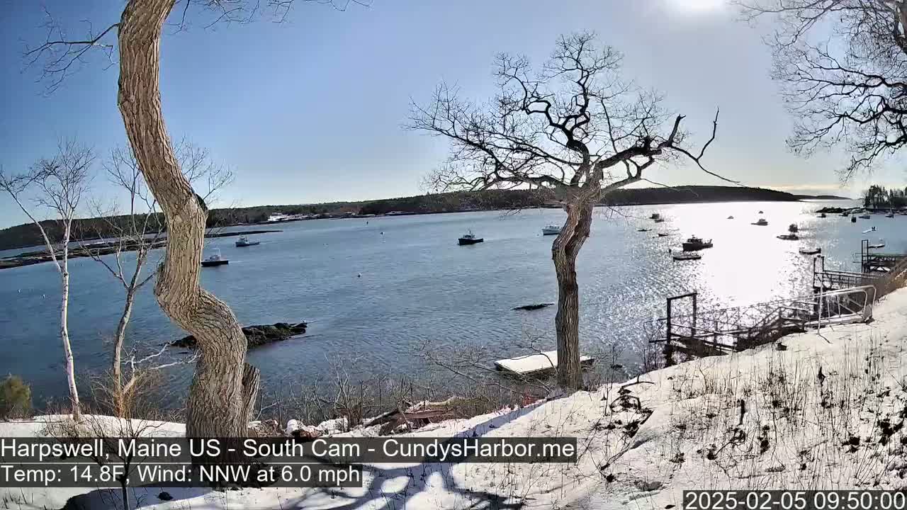 A sunny day with a light northwest wind reveals a snow-covered shoreline with several boats in a calm harbor, framed by leafless trees.