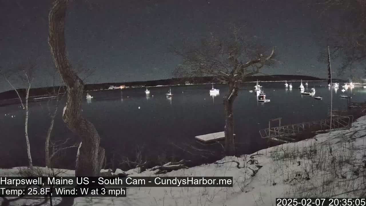 A nighttime view of a snow-covered shoreline with numerous boats moored in a calm body of water under a clear, dark sky.
