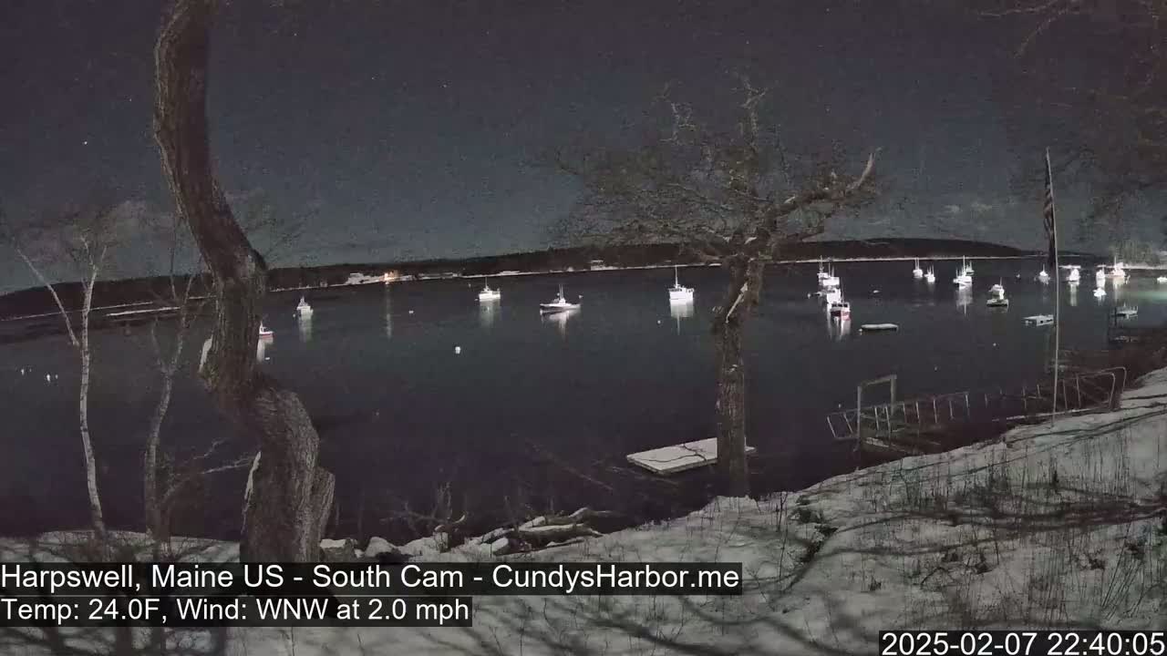 A nighttime view of a snow-covered shoreline overlooking a calm harbor filled with numerous boats under a clear, starry sky.
