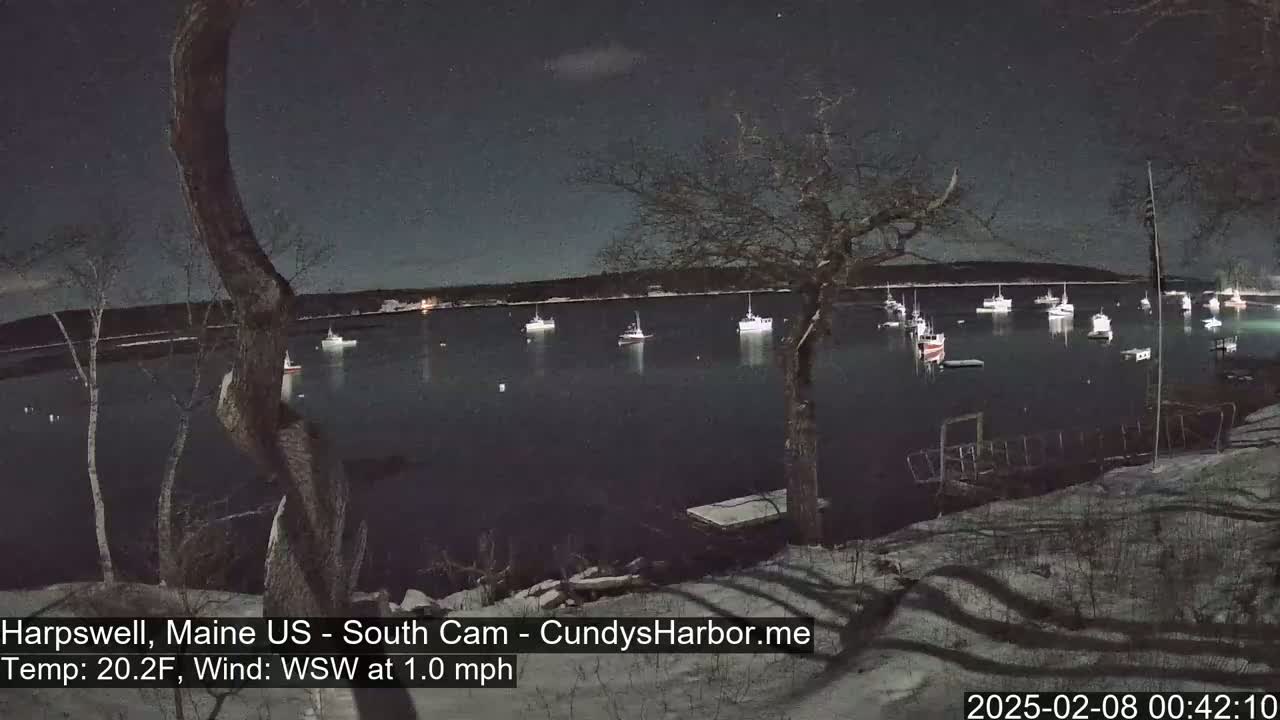 A nighttime view of a harbor filled with boats under a starry sky, with a light snow cover on the ground and bare trees in the foreground.