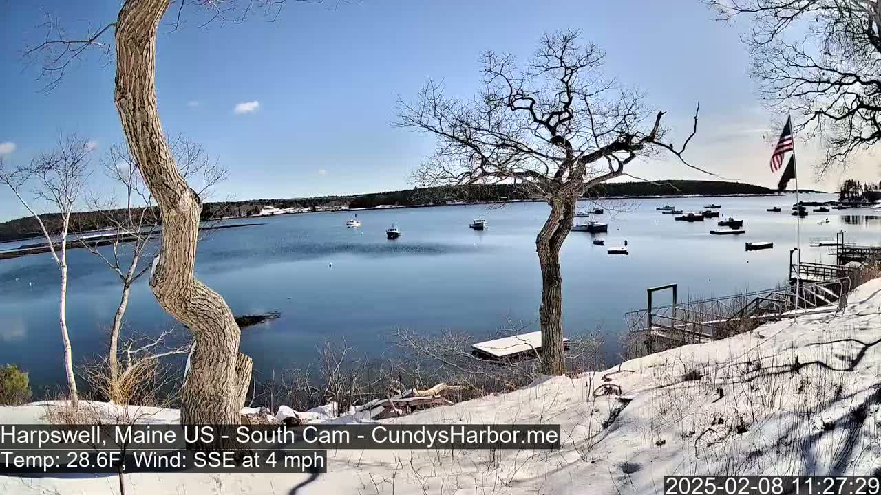 A snow-covered shoreline overlooks a calm bay with numerous boats moored under a clear blue sky.