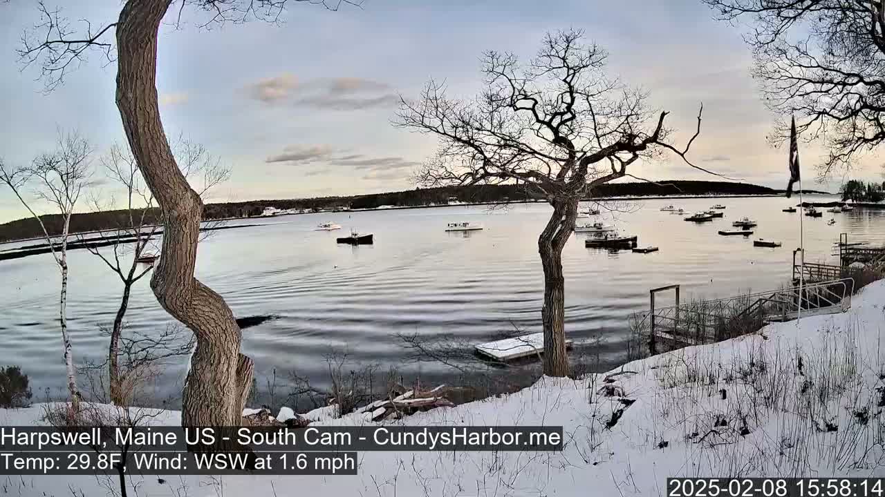 A snow-covered shoreline with bare trees overlooks a calm bay containing several small boats under a partly cloudy sky.
