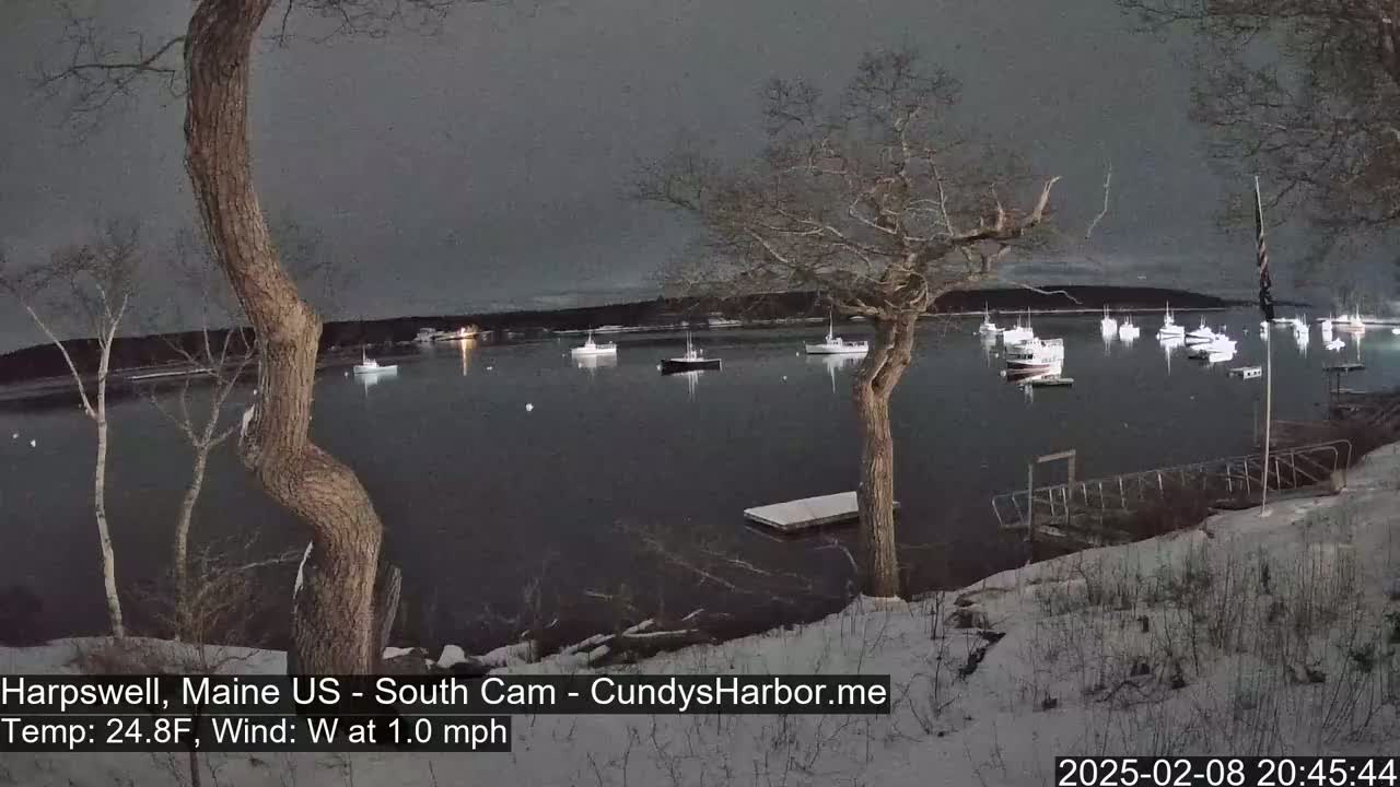 Numerous boats are moored in a calm, dark-grey harbor under a night sky, the snowy shoreline observed from a vantage point near some leafless trees.