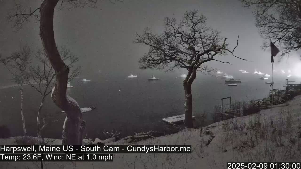 A snow-covered shoreline with bare trees overlooks a body of water where numerous boats are moored under a light snowfall.