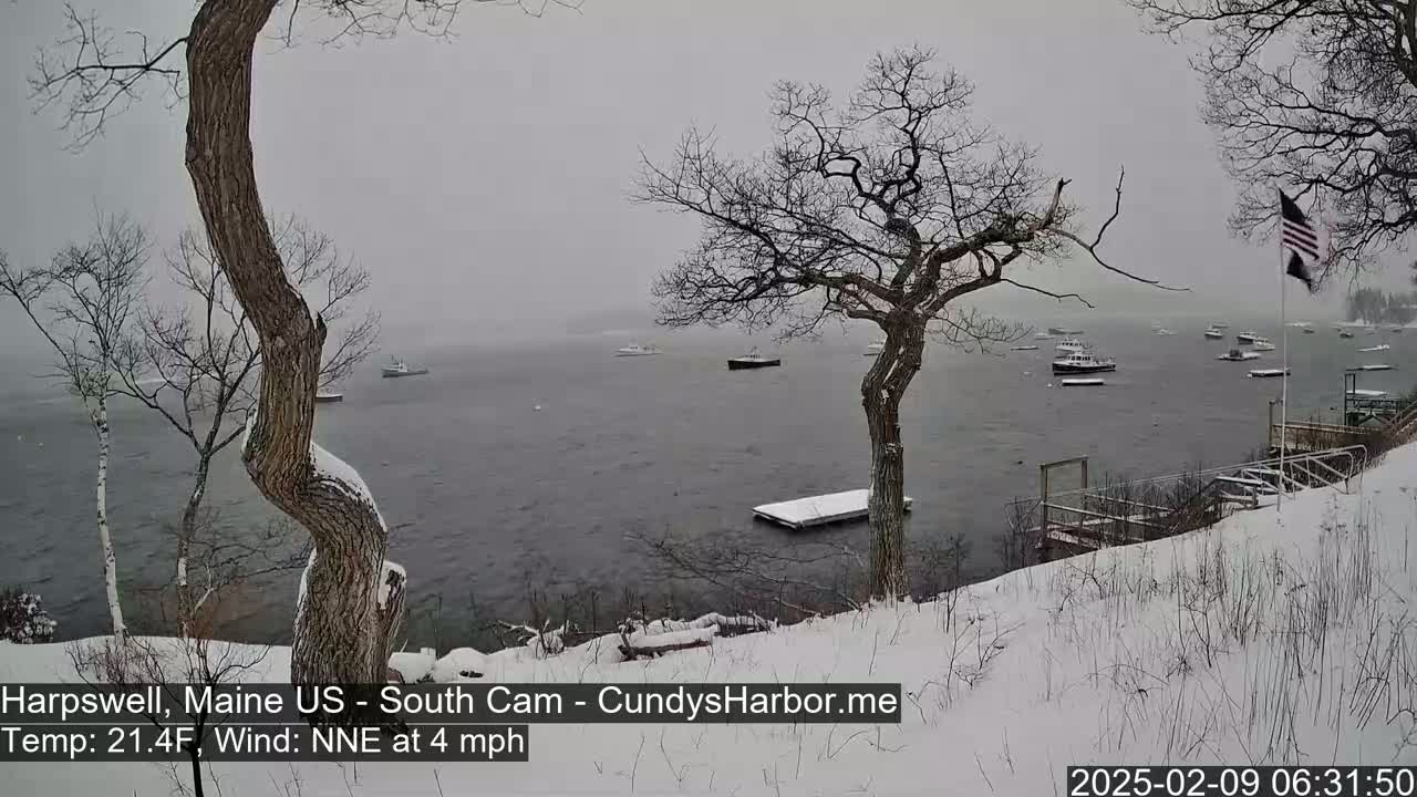 A snow-covered shoreline with bare trees overlooks a calm body of water where several boats are moored during a light snow.