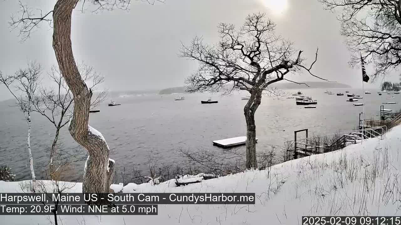 A snow-covered shoreline with bare trees overlooks a calm body of water containing several boats under an overcast sky.