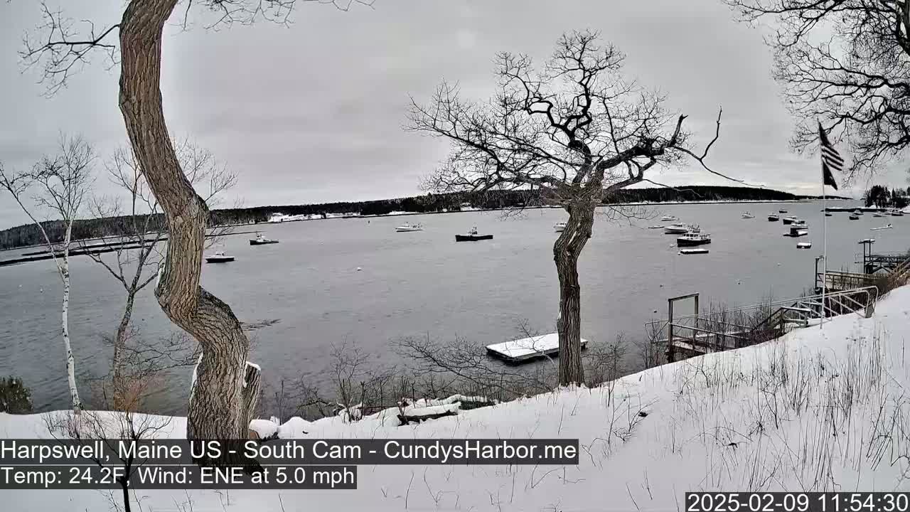 A snow-covered shoreline with bare trees overlooks a calm harbor containing several small boats under an overcast sky.