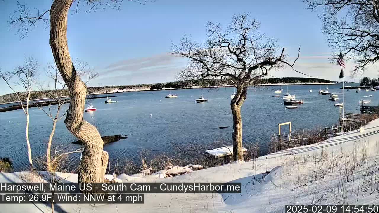A snow-covered shoreline with bare trees overlooks a calm body of water where several small boats are anchored under a clear blue sky.