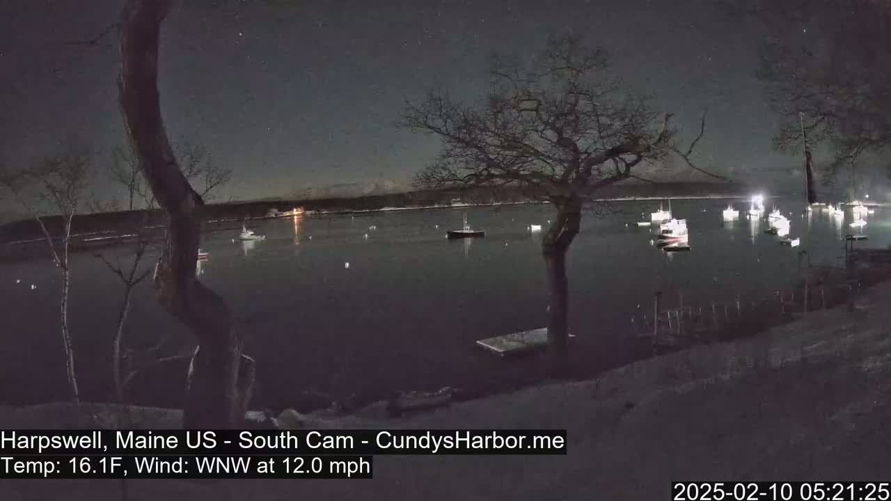 A nighttime view of a harbor with numerous boats moored, under a clear, starry sky, with a 16.1°F temperature and a 12 mph wind from the west-northwest.