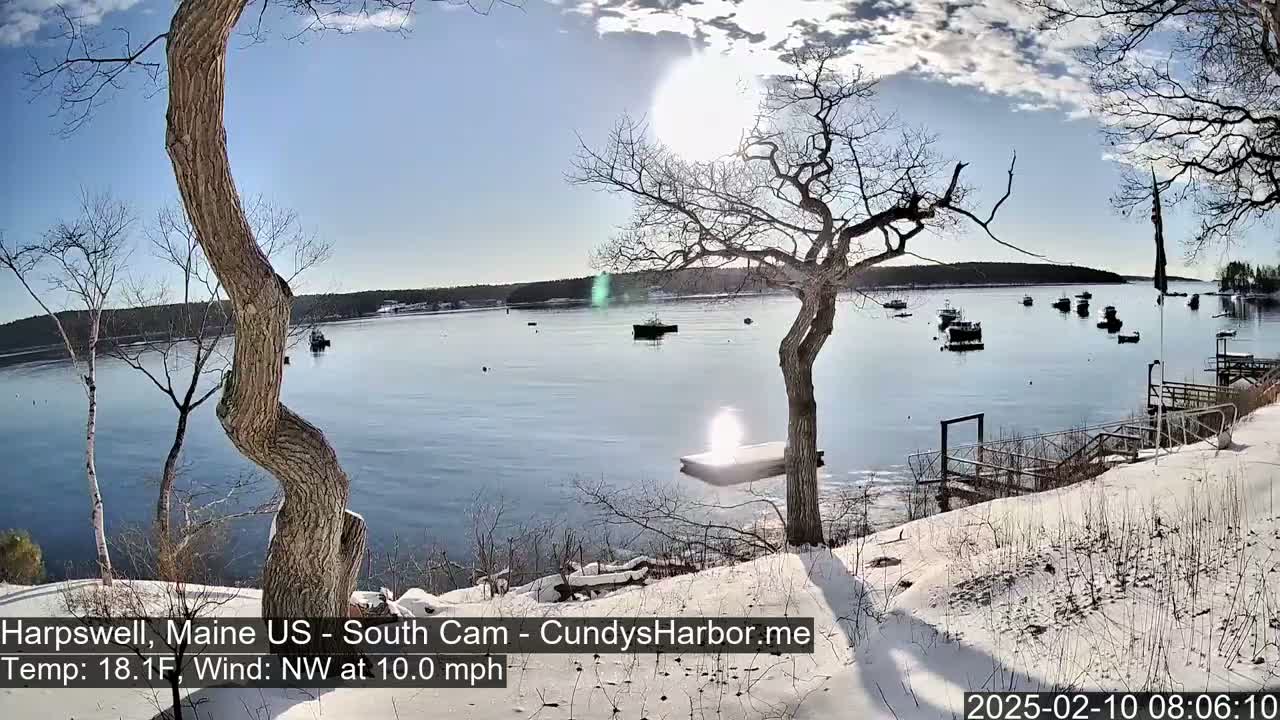 A snow-covered shoreline with bare trees overlooks a calm bay containing several boats under a mostly sunny sky.