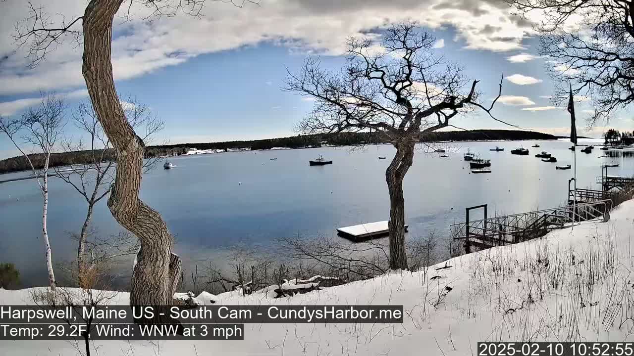 A snow-covered shoreline with bare trees overlooks a calm bay containing several boats under a partly sunny sky.