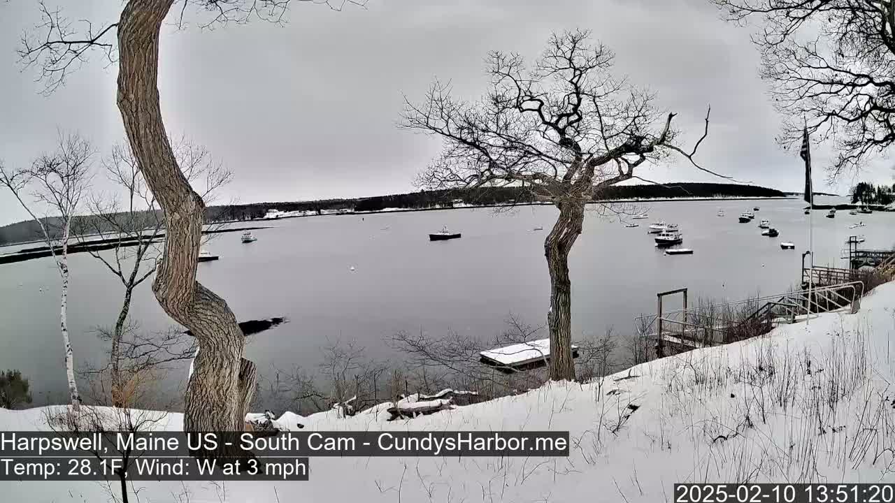 A snow-covered shoreline with leafless trees overlooks a calm harbor containing several small boats under a gray sky.