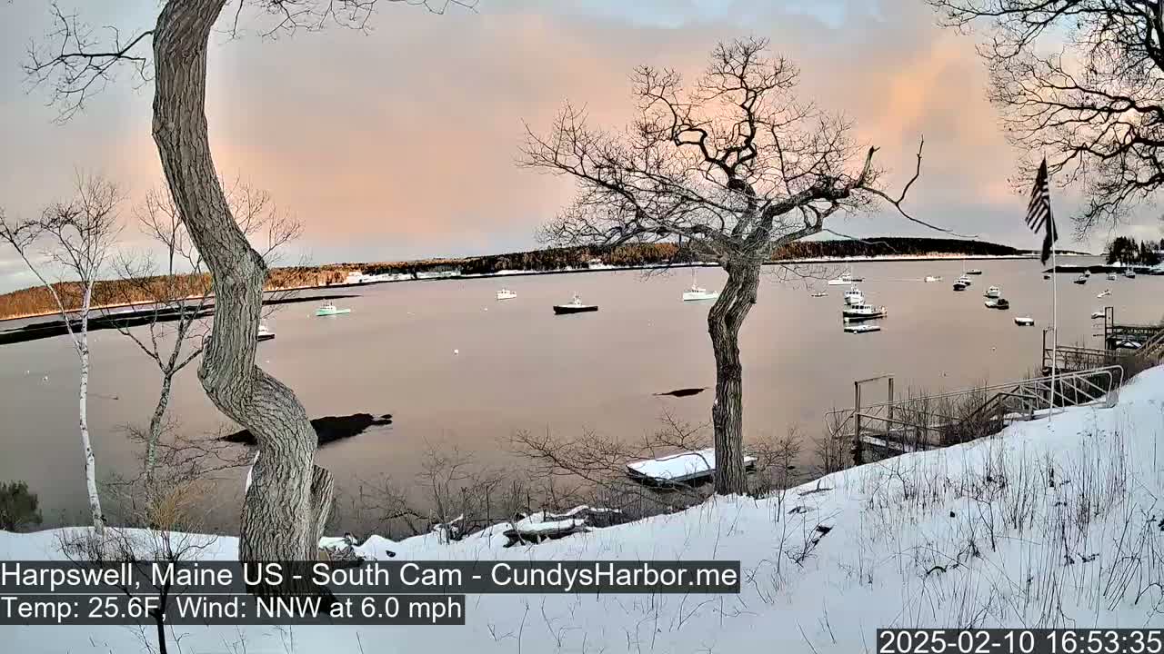 A snow-covered shoreline with bare trees overlooks a calm bay containing several small boats under a pale pink and gray sunset.
