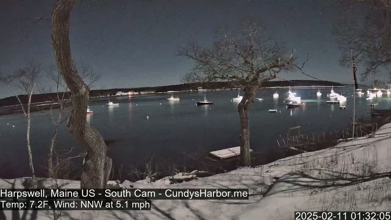 A moonlit harbor at night with numerous boats moored, viewed from a snow-covered shoreline under a clear sky, with a light northwest wind.