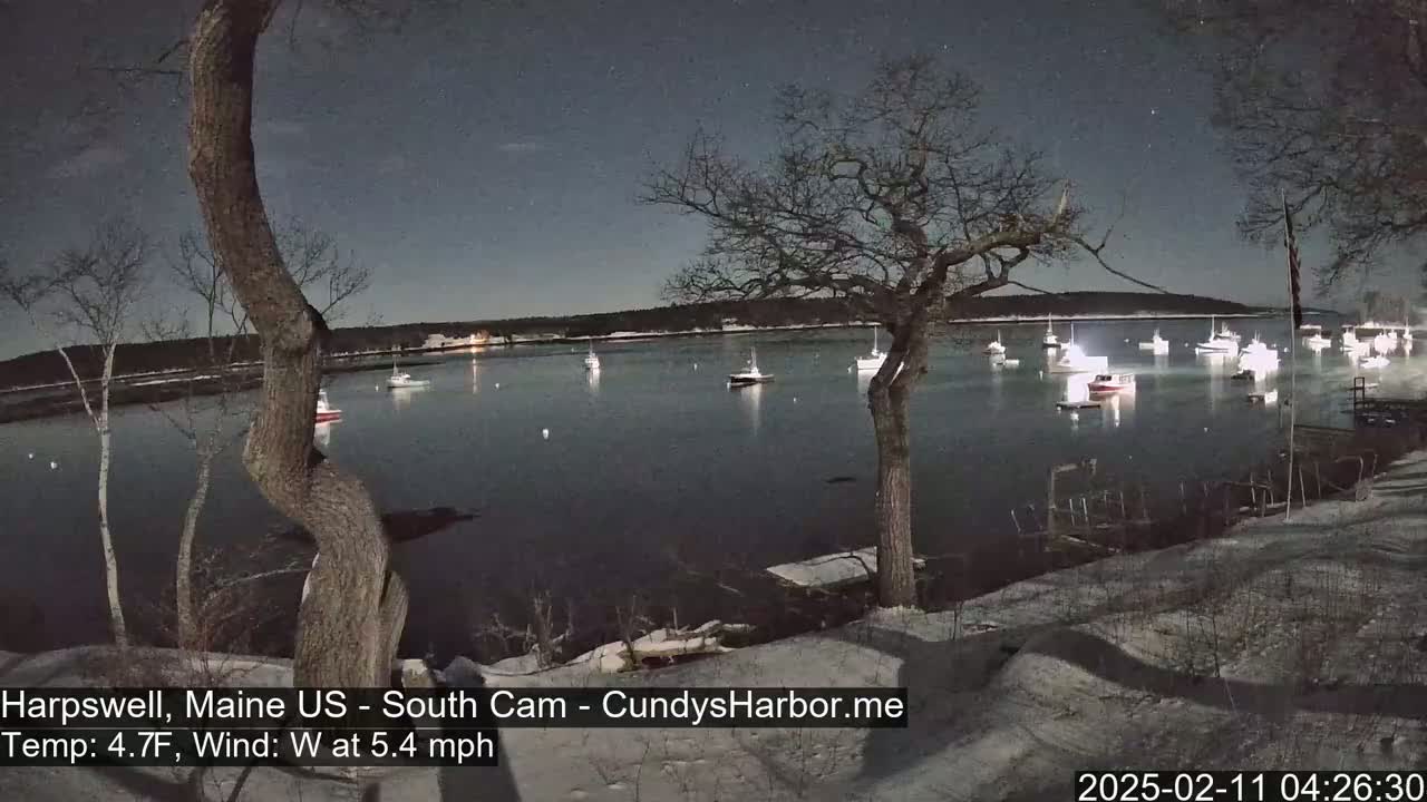 Several boats are moored in a calm, moonlit harbor under a dark night sky, with a light dusting of snow on the shoreline and bare trees in the foreground.