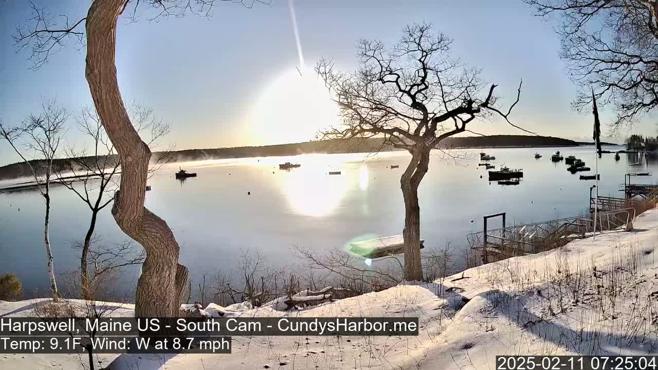 A snow-covered shoreline with leafless trees overlooks a calm harbor filled with several boats, under a bright, sunny sky.