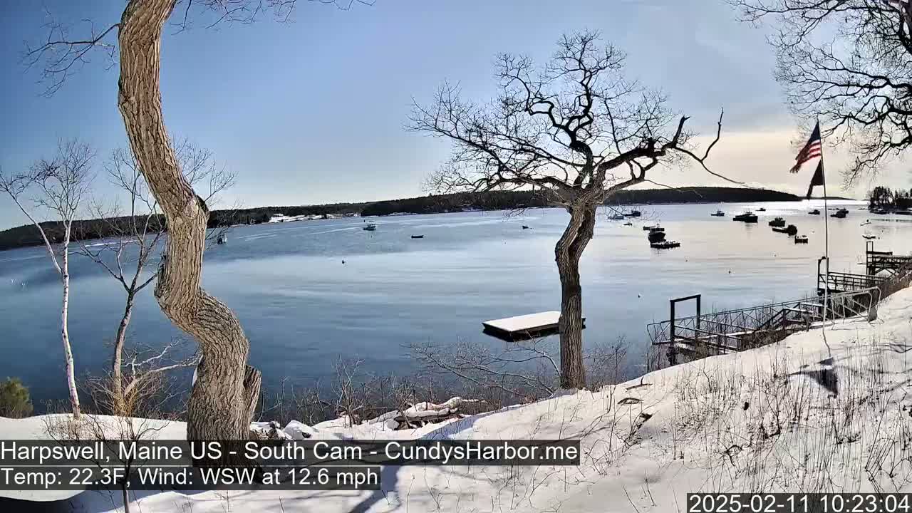 A snow-covered shoreline with leafless trees overlooks a calm bay with several boats, under a clear, sunny sky.