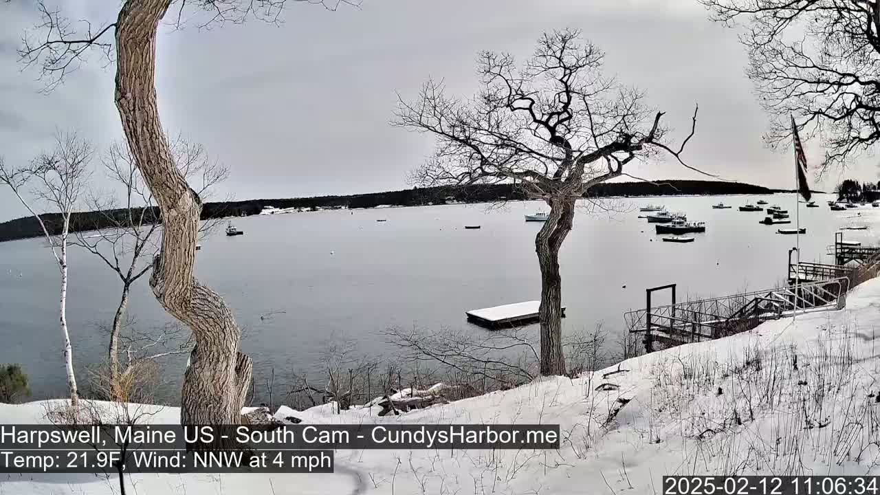 A snow-covered shoreline with bare trees overlooks a calm bay containing several small boats on a cloudy day.