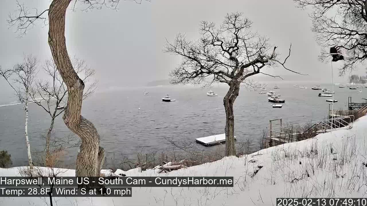 A snow-covered shoreline with bare trees overlooks a calm body of water where several boats are moored under an overcast sky.
