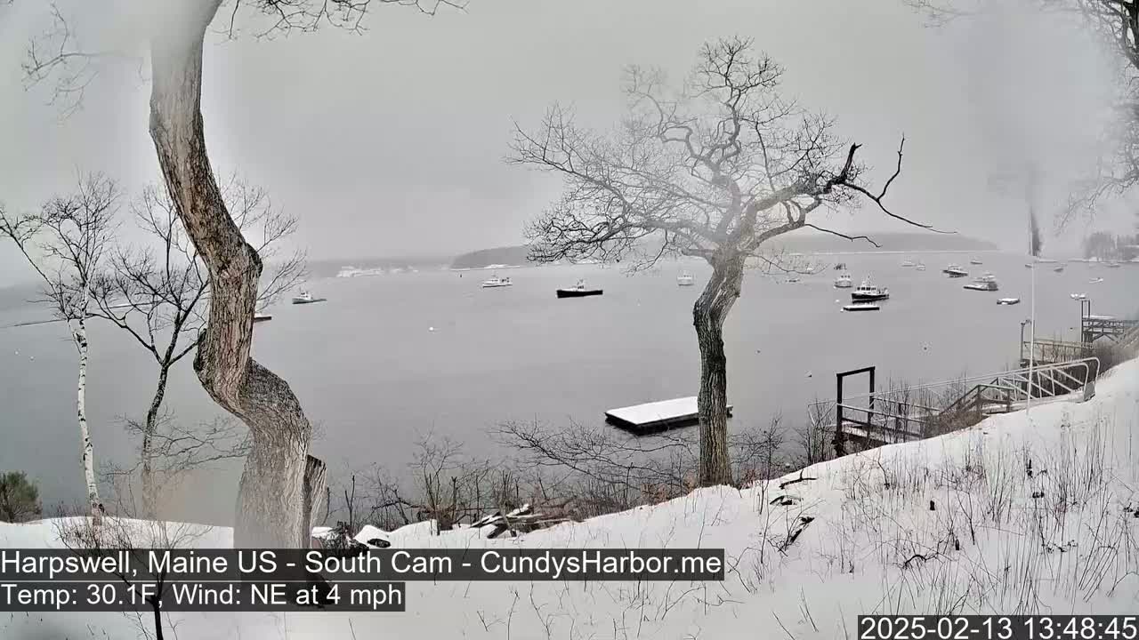 A snow-covered shoreline with several boats in a calm, gray body of water under an overcast sky.