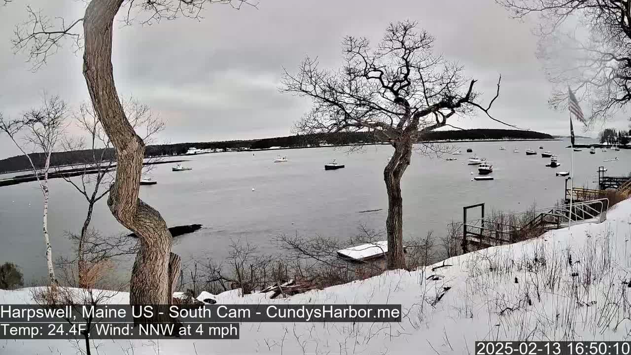 A snow-covered shoreline with bare trees overlooks a calm bay containing several small boats under an overcast sky.