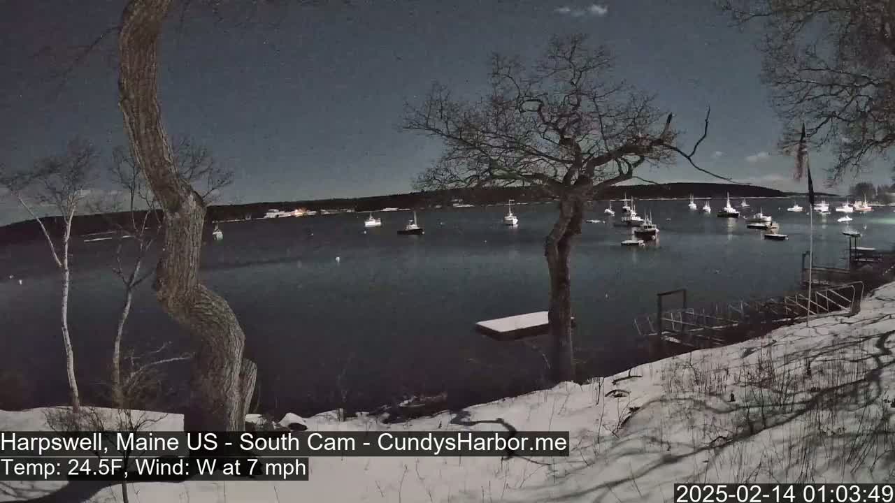 Under a night sky, numerous boats are moored in a calm bay, the surrounding snow-covered shoreline is visible under a mostly clear sky.