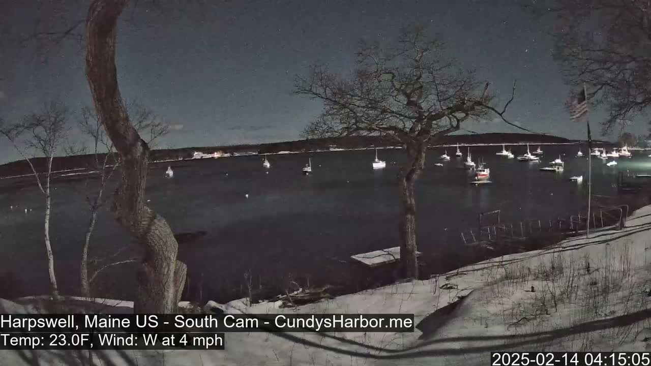 A nighttime view of a snow-covered shoreline with numerous boats moored in a calm body of water under a clear, starry sky.