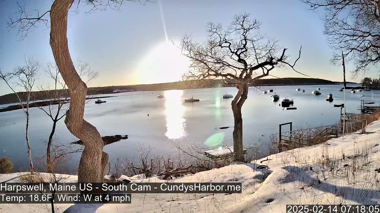 A snow-covered shoreline with bare trees overlooks a calm harbor filled with several small boats under a bright, sunny sky.