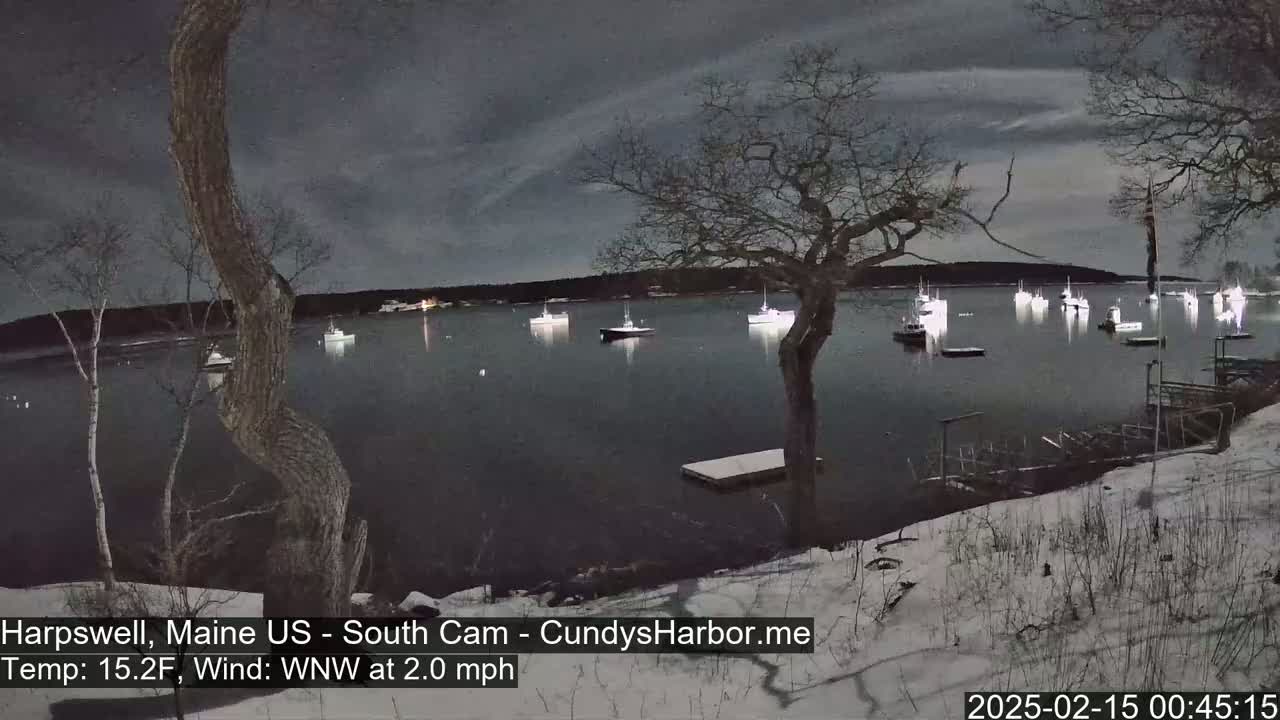 A moonlit harbor scene at night shows numerous boats moored in calm water under a partly cloudy sky, with a snow-covered shoreline and trees in the foreground.