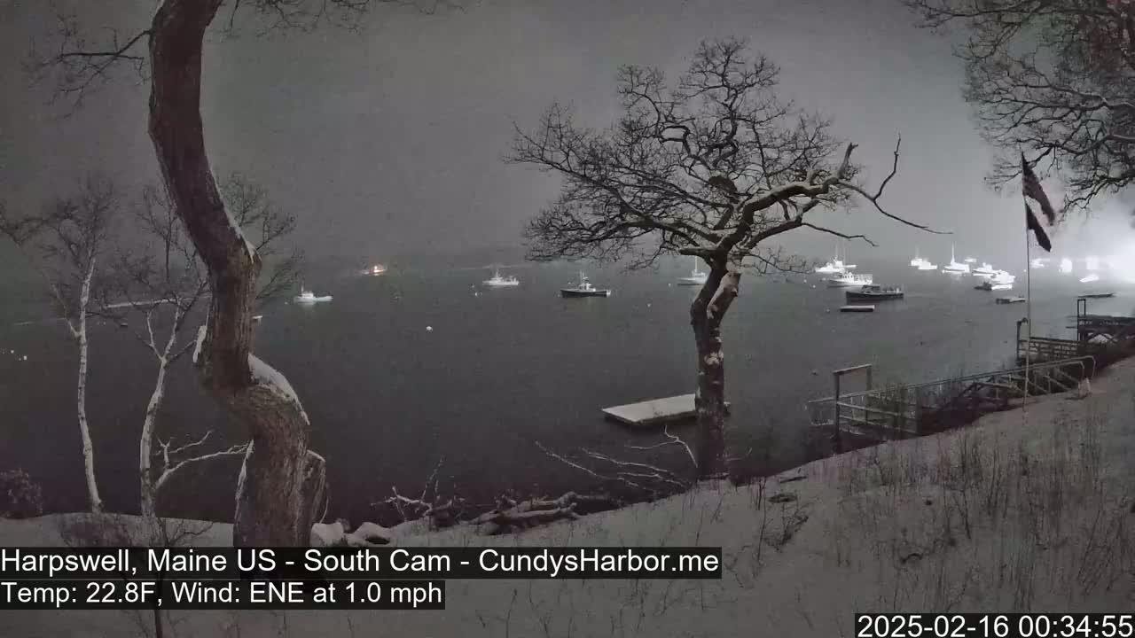 A snow-covered shoreline with bare trees overlooks a calm harbor containing several boats under a dark, snowy sky.