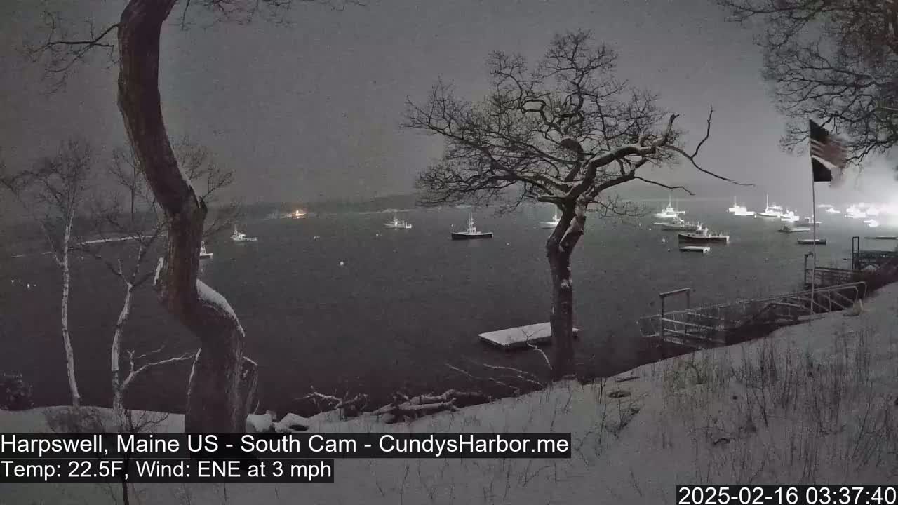 A snow-covered landscape at night shows a harbor with several boats, viewed from a snowy hillside with bare trees.