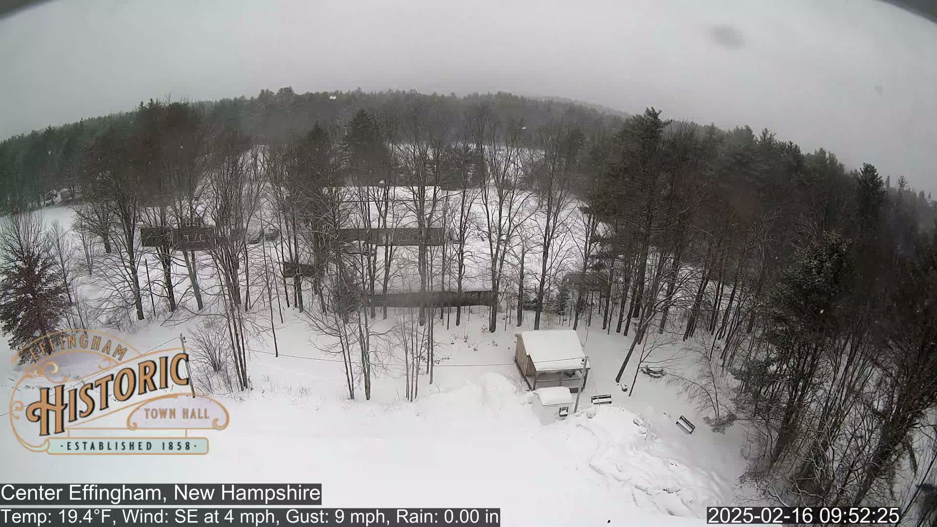 A snow-covered landscape with bare trees and a small building, under light snowfall.