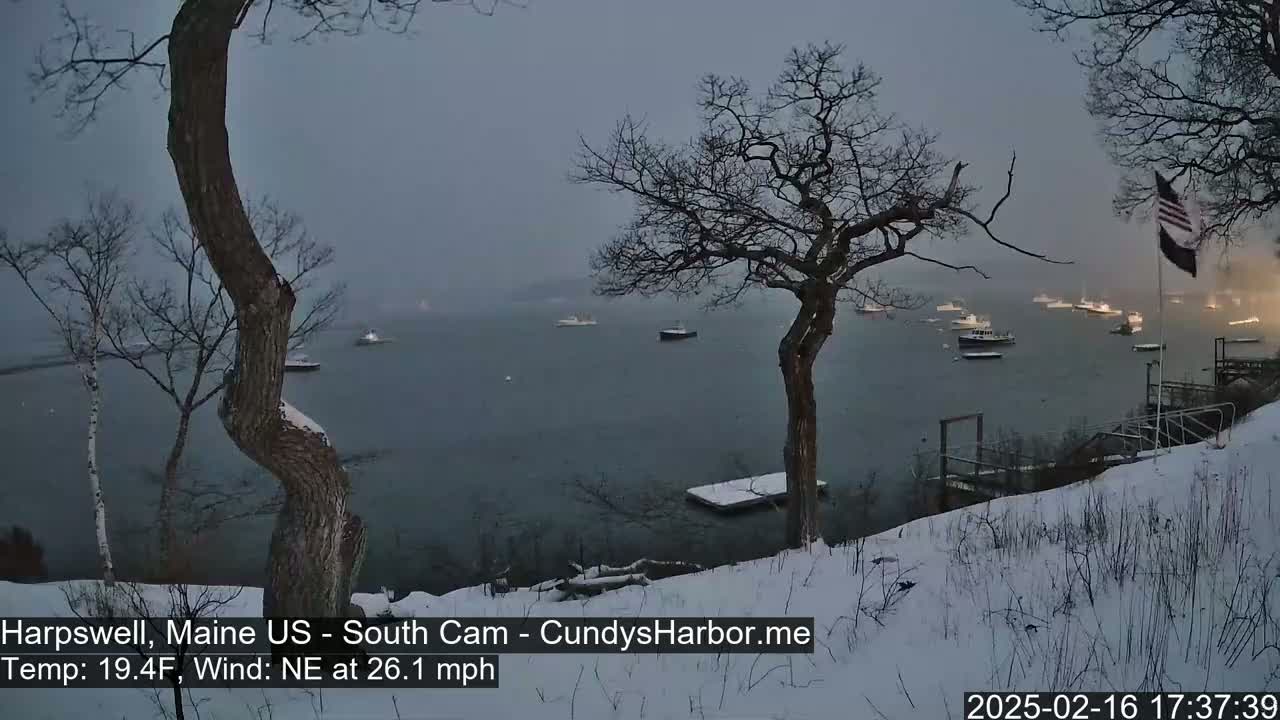 A snow-covered shoreline overlooks a calm body of water with numerous boats, under a gray, overcast sky.