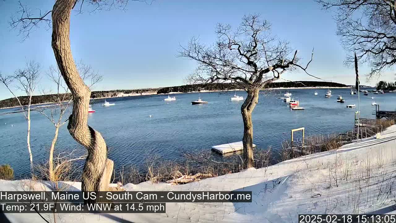 A snow-covered shoreline with bare trees frames a calm bay containing several boats under a clear blue sky.