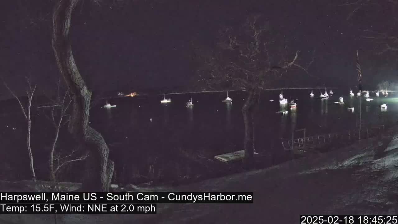A nighttime view of a harbor with numerous boats at anchor under a clear, starry sky, a light wind blowing.